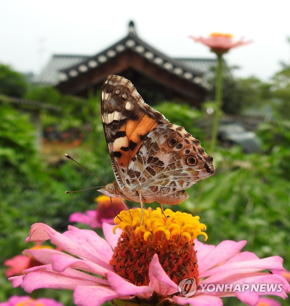 �����Ī�e