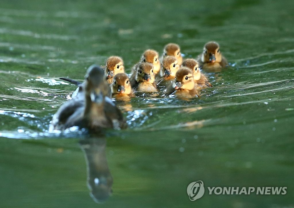 �p�m����