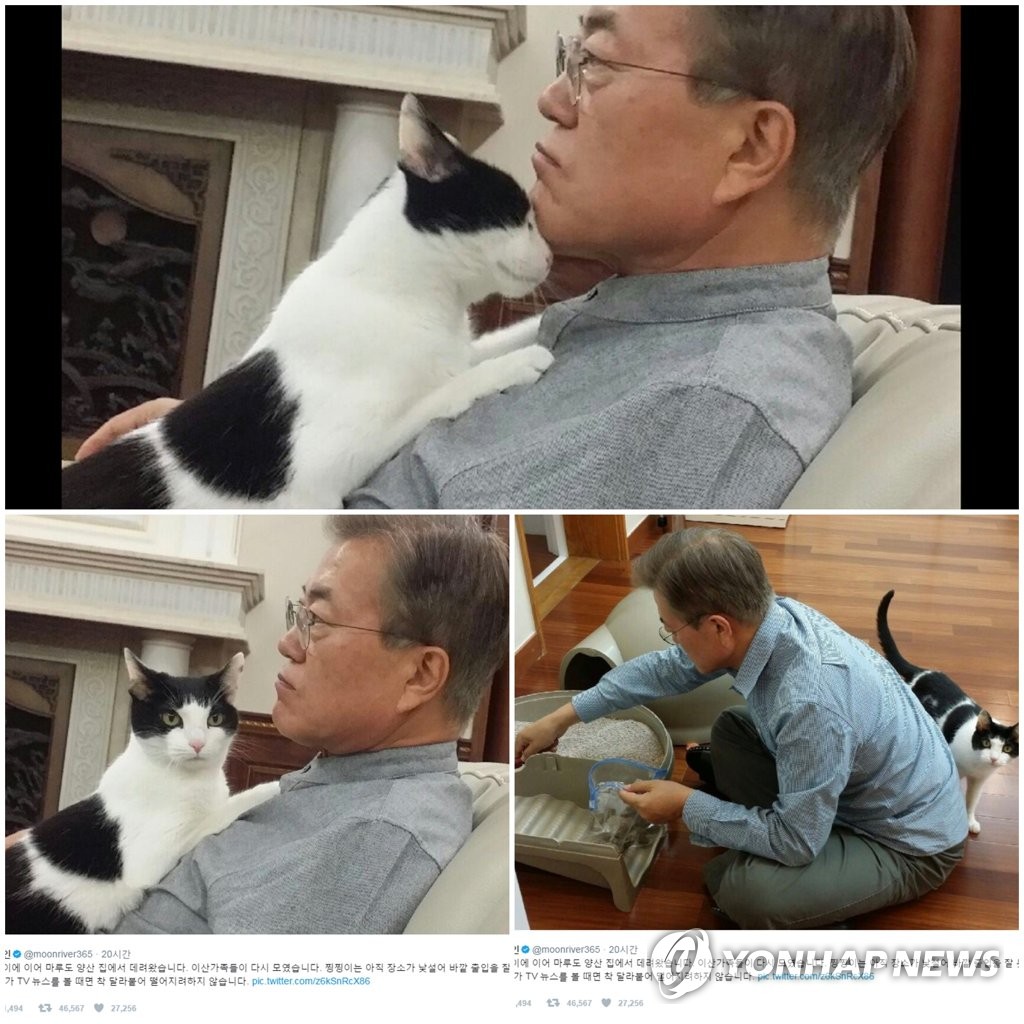 ��b�G�M�R�߿���