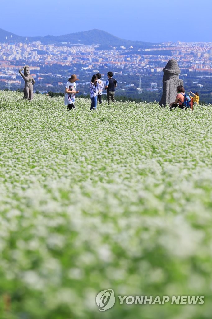 �L����}�ݧg��