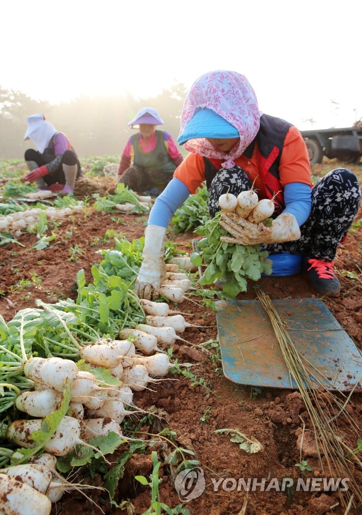 �n���A����ì�ڽ�