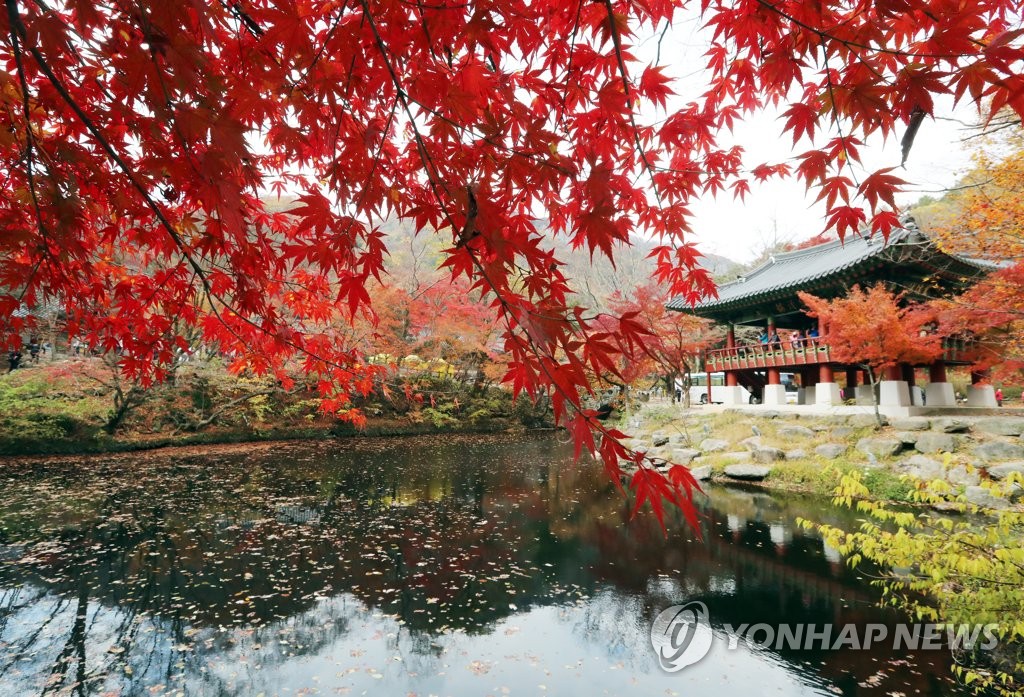 ���������p�e