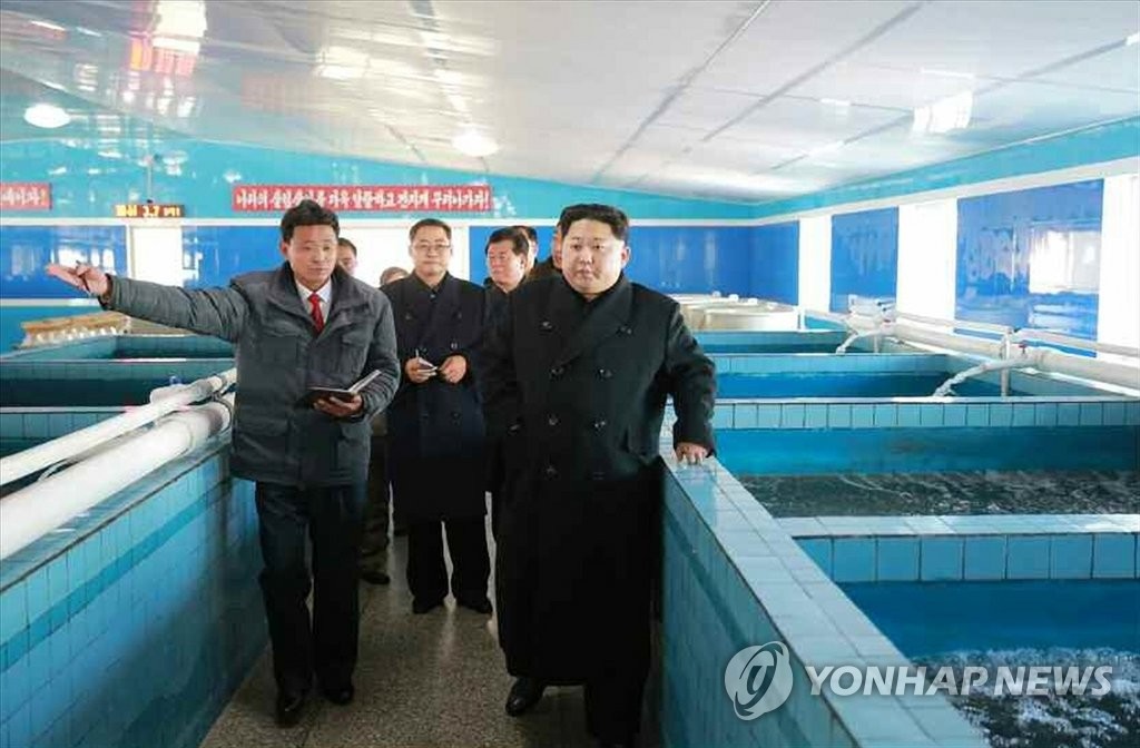 金正恩視察養魚場