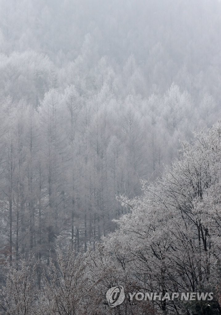 �����ȸ˯��q