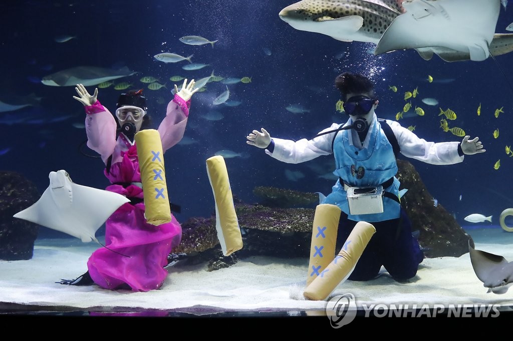 �������ׯ��C��