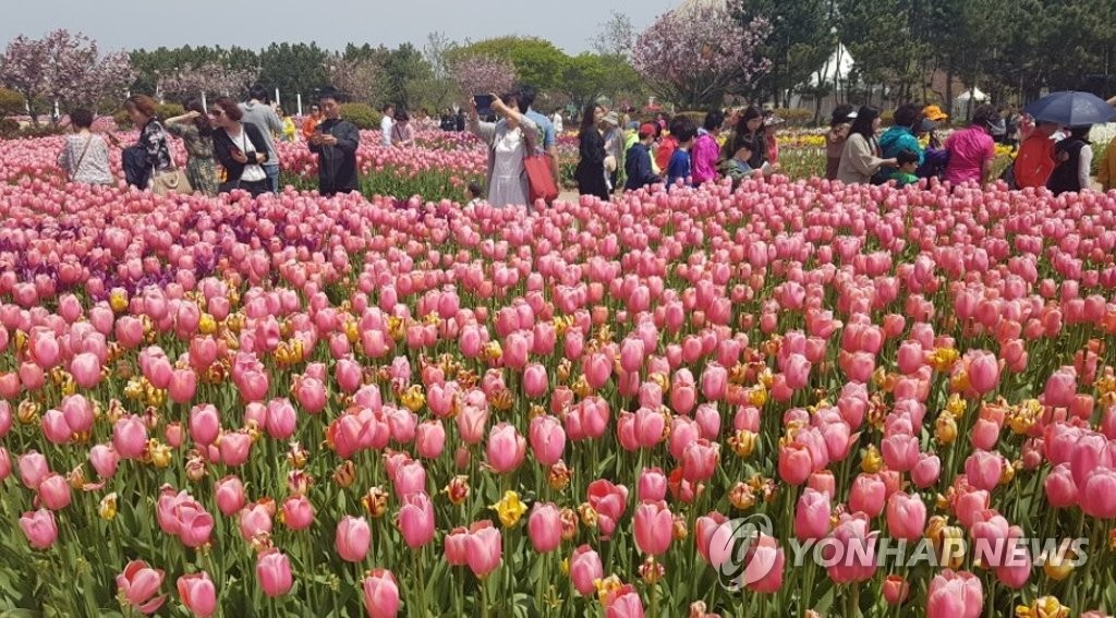 ���w�{��������ߪ�K��C��