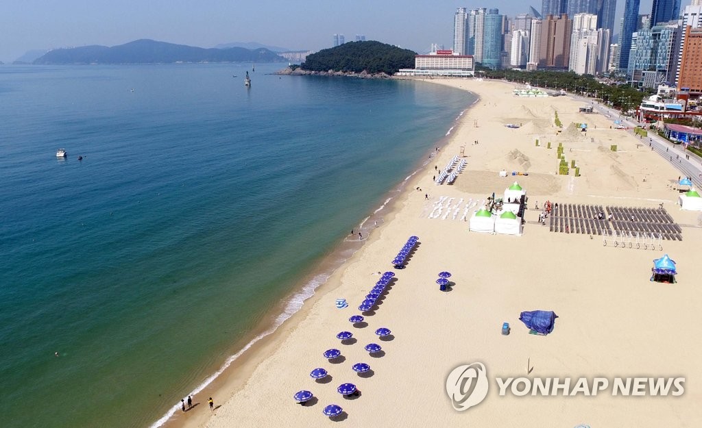 °y¤s®ü¶³»O®ü¤ô¯D³õ¶}©ñ