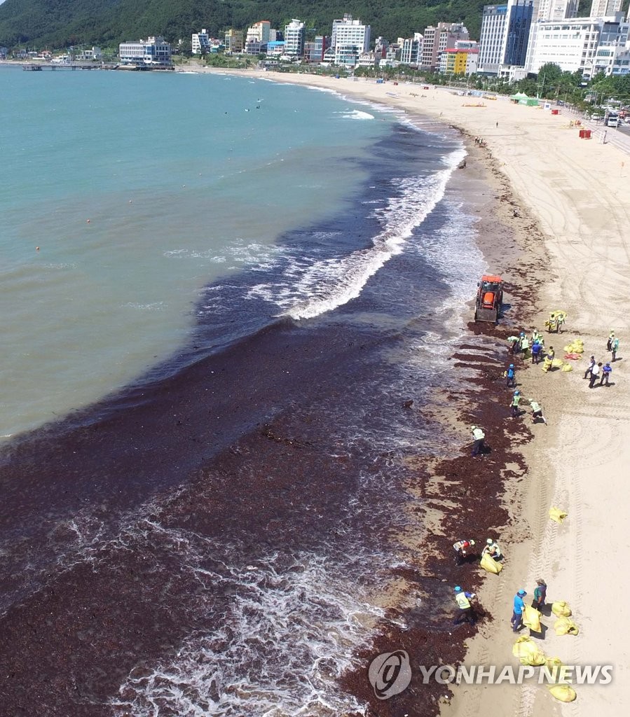 �M�z�䭷������