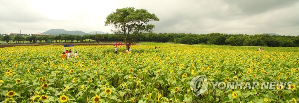 �Z�]�A������}