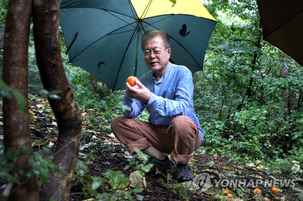 9��29��W�ȡA�b�y�|�n�D��s���A�n���`�Τ�b�G�b�p���s�L���_�B���B���ۤU�B�_�a�W���G��C(���p��/�C�˻O�ѹ�)