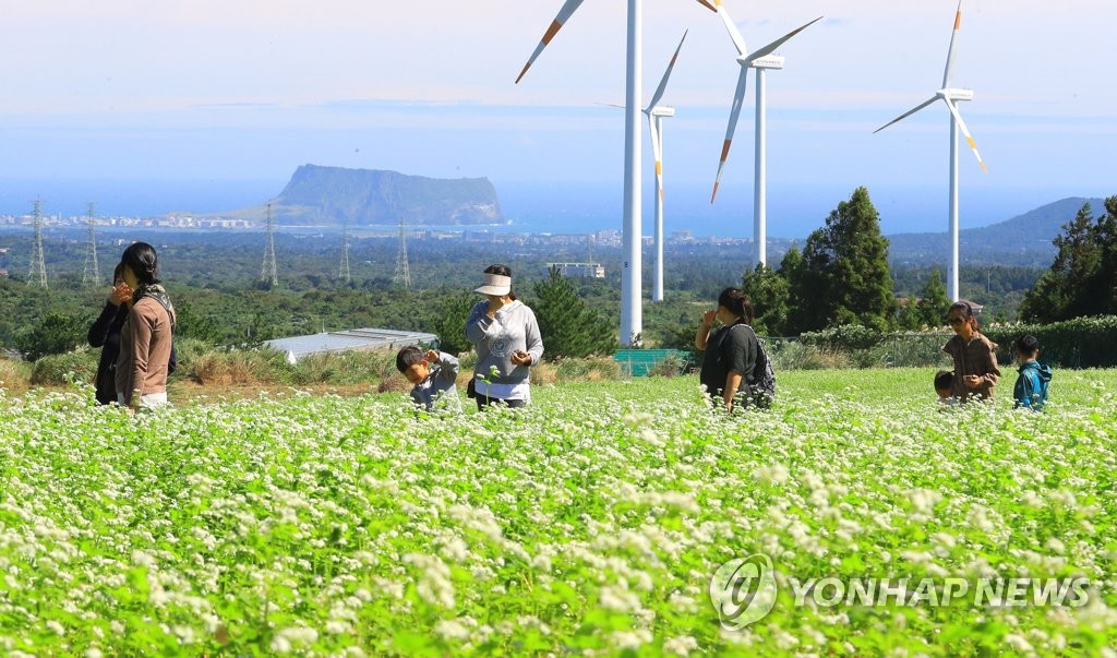 資料圖片:濟州美景(韓聯社)