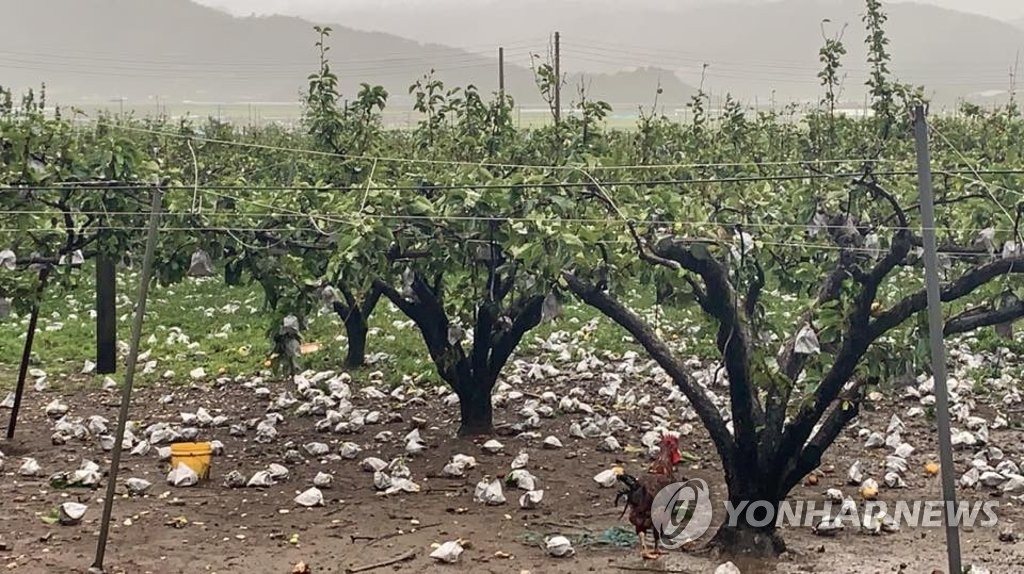 �䭷�L��G����a ���p��/Ū�̨ѹϡ]�Ϥ��Y�T����ƻs�^