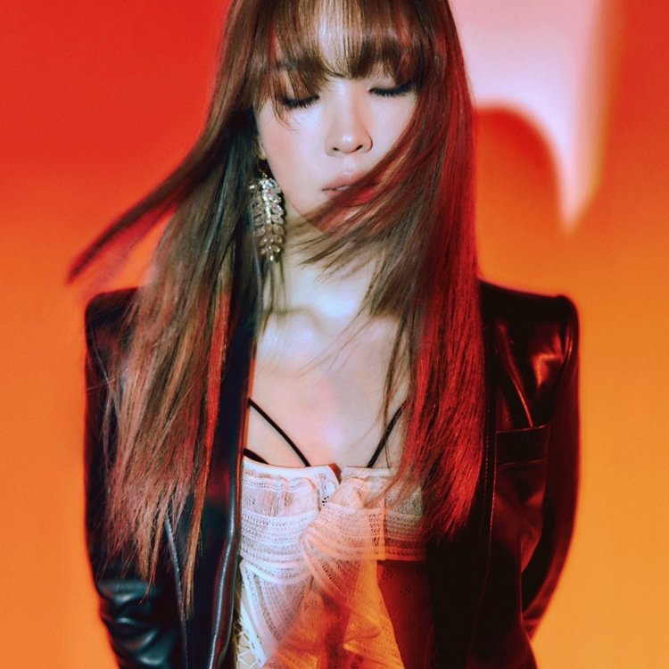 ��ƹϤ��G�q������� ���p��/Artsro Ent�ѹϡ]�Ϥ��Y�T����ƻs�^