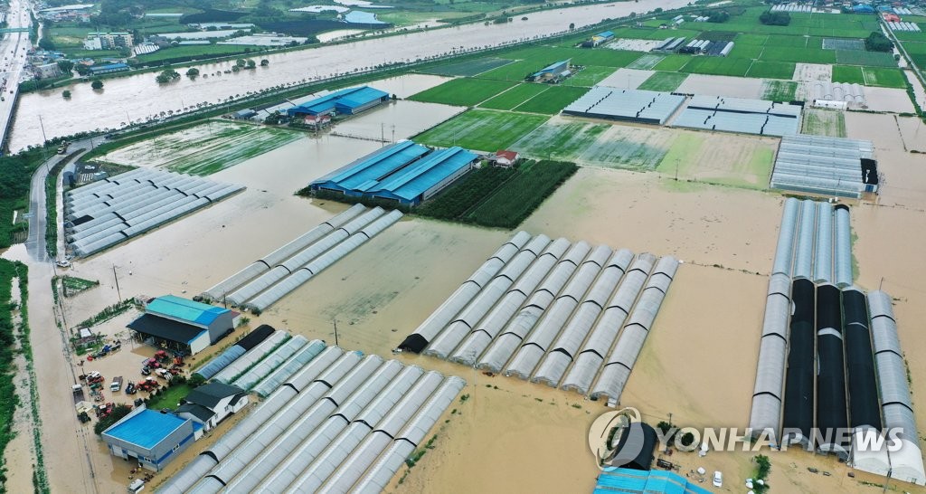 資料圖片:8月2日,京畿道安城市的一處農田被水淹沒。 韓聯社