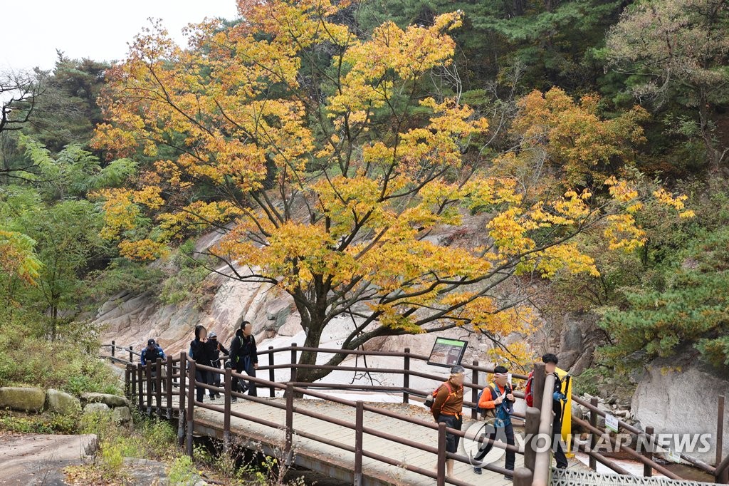 ��ƹϤ��G10��23��W�ȡA�b��󭺺������Ϫ��_�~�s�A�����̵n�s�෬�C ���p��