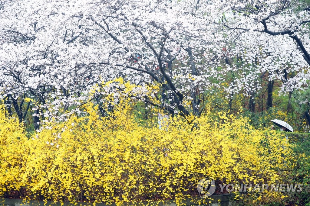 ¸ê®Æ¹Ï¤ù¡G3¤ë23¤é¡A¶}ªá®É¶¡¤£¦PªºÄåªá©M³s¼¦P®Éºì©ñ¡C ÁúÁpªÀ