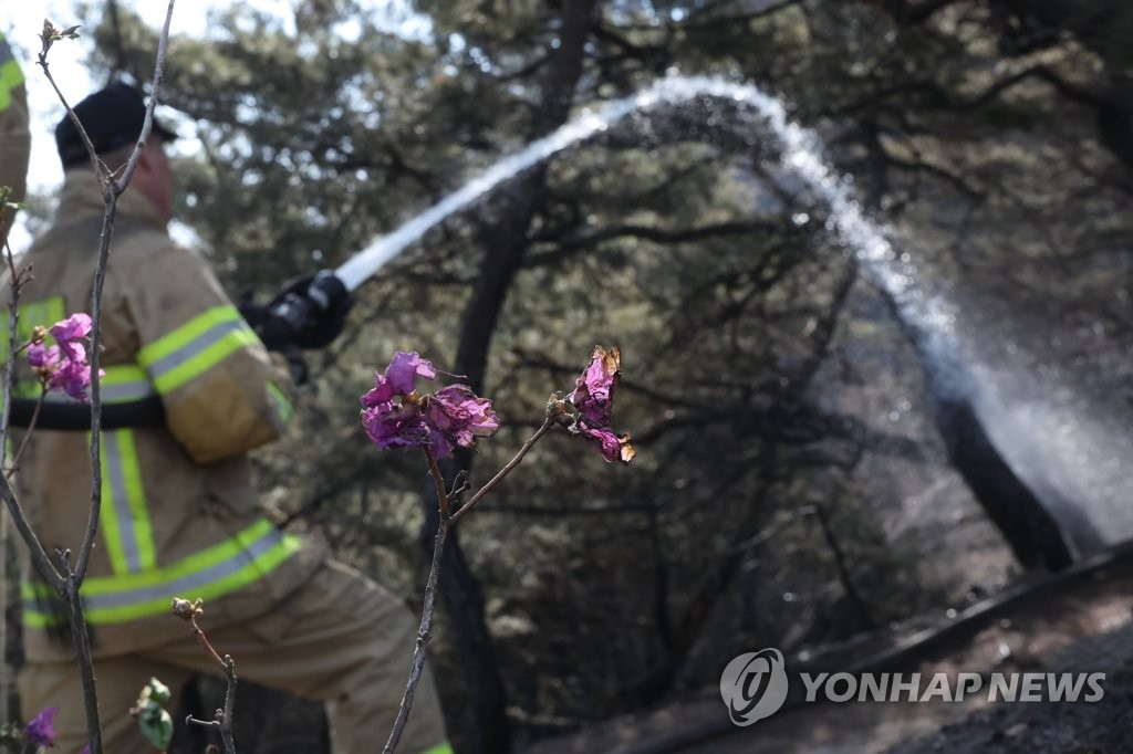 ��ƹϤ��G4��3��A�b�����_���������Ϫ������s�A���Y��b�@�����a���Q�N�J�C�����s�e�@�ѵo�ʹ˪L���a�C�ڮ��������M�s�L�U����A�L�����n���F14�����A�۷���20�Ө��y���j�p�C ���p��