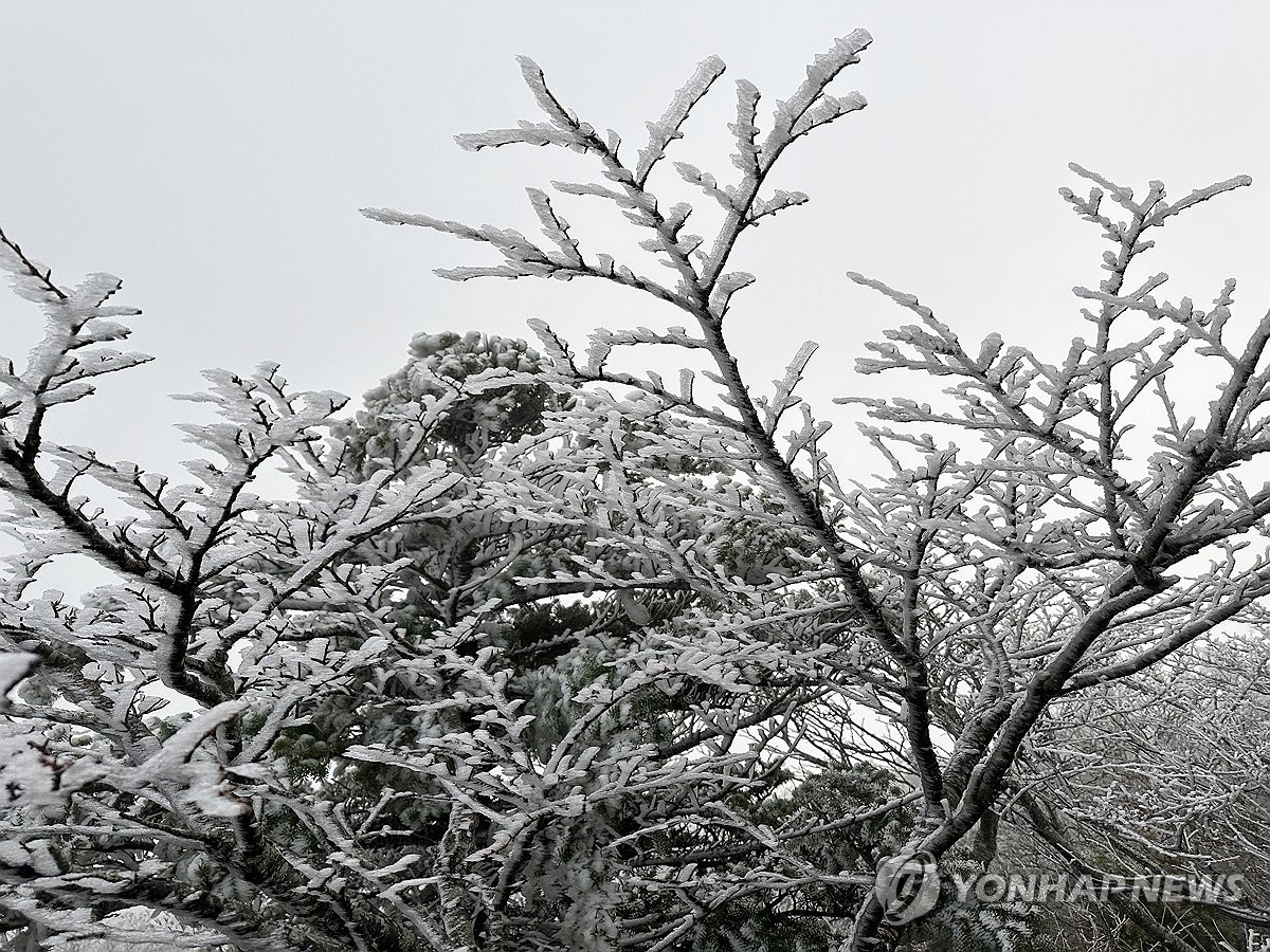 ��ƹϤ��G10��22��A�٦{�~���s�X�{���~������凇�C ���p��