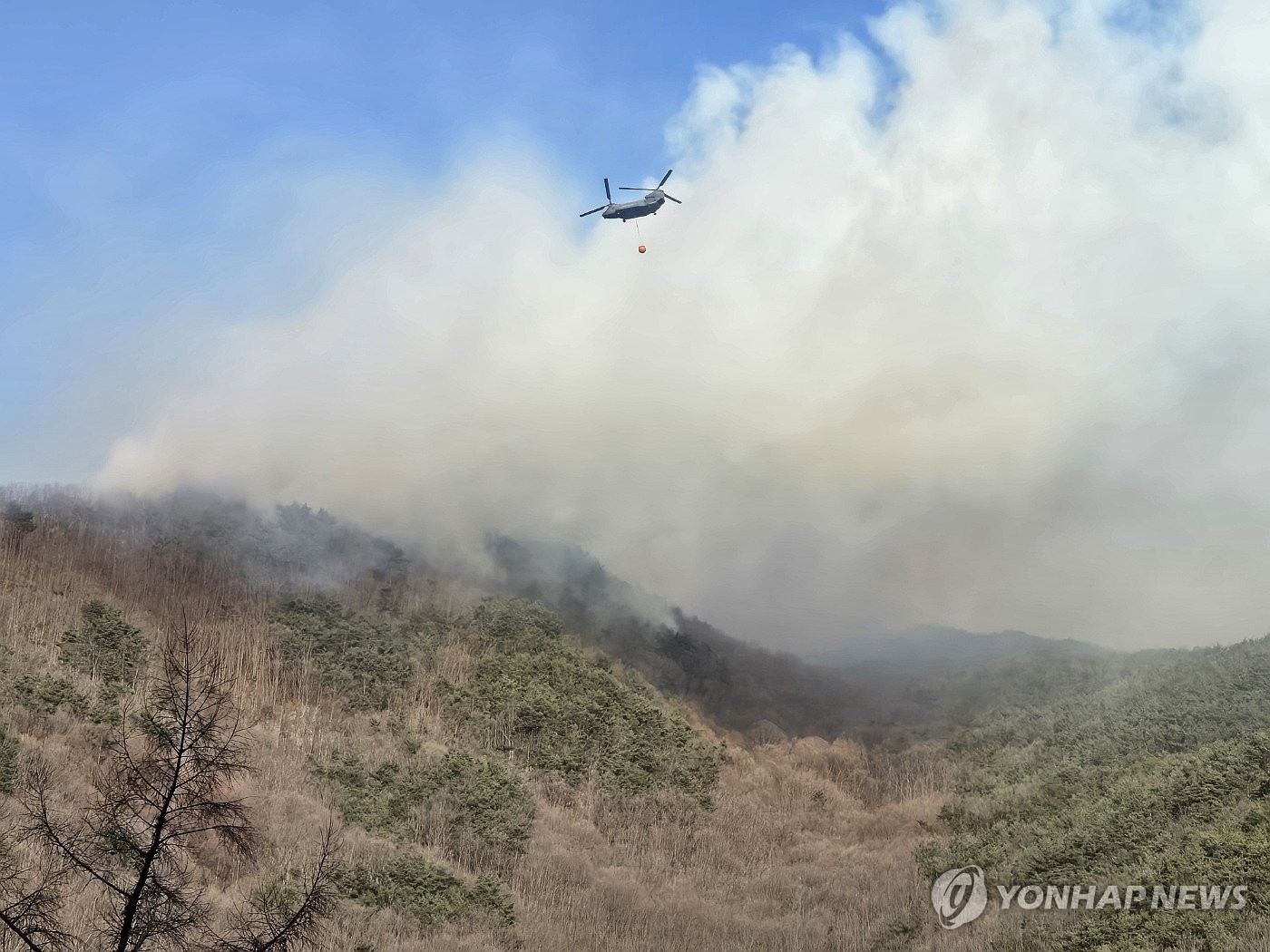 �w���p�˪L���a�{���� ���p��/Ū�̨ѹϡ]�Ϥ��Y�T����ƻs�^