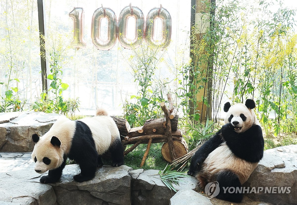 4��2��A�b�ʽB�D�s�������R�_�ֶ�A���M�L�j���ߡ����_���M�����_���b�}�i�������̤�u�s�@����s�������P�򪱭A�C���ѬO�Ⱖ���ߥX�Ͳ�1000�ѡC ���p��