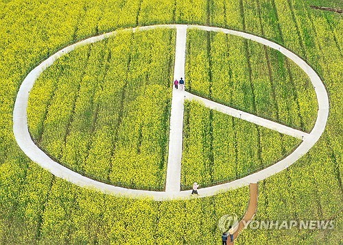 �a����|�˭p��50��