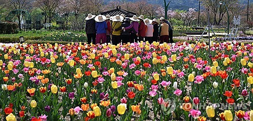 �{�������