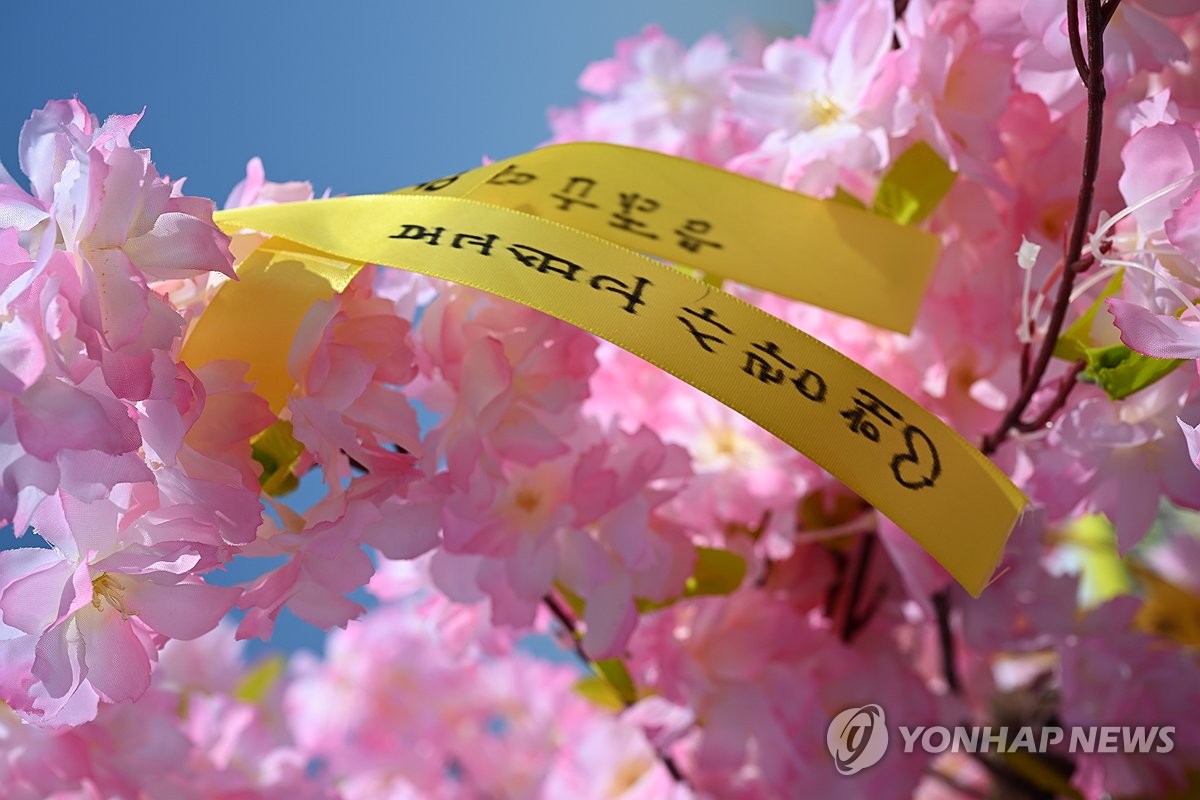 4月16日上午,在全羅南道珍島郡孟骨水道事故海域舉行的“世越”號沉船事故12週年船上追思活動上,寫有遇難者家屬寄語的悼念絲帶懸挂在櫻花裝飾物上。 韓聯社/聯合採訪團
